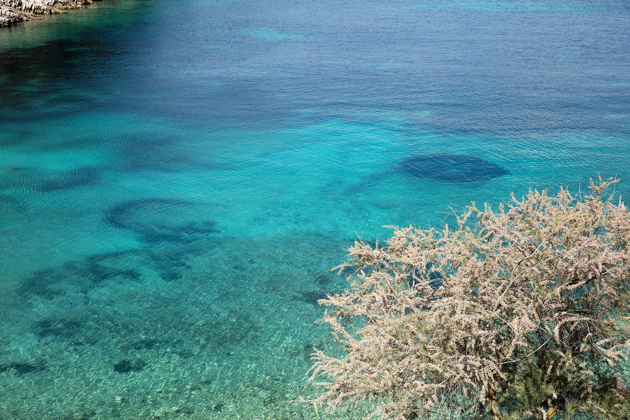 Little Green Bay Hotel Hvar Island ภายนอก รูปภาพ